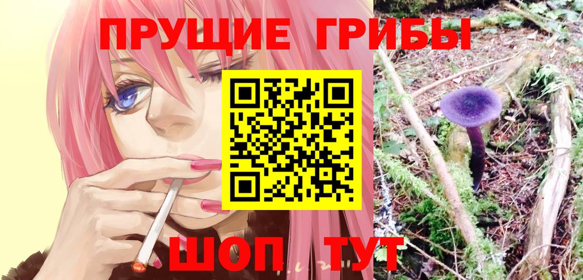 Железногорск  Псилоцибиновые грибы MAGIC MUSHROOMS  Галлюциногенные грибы мицелий  Вход с VPN 